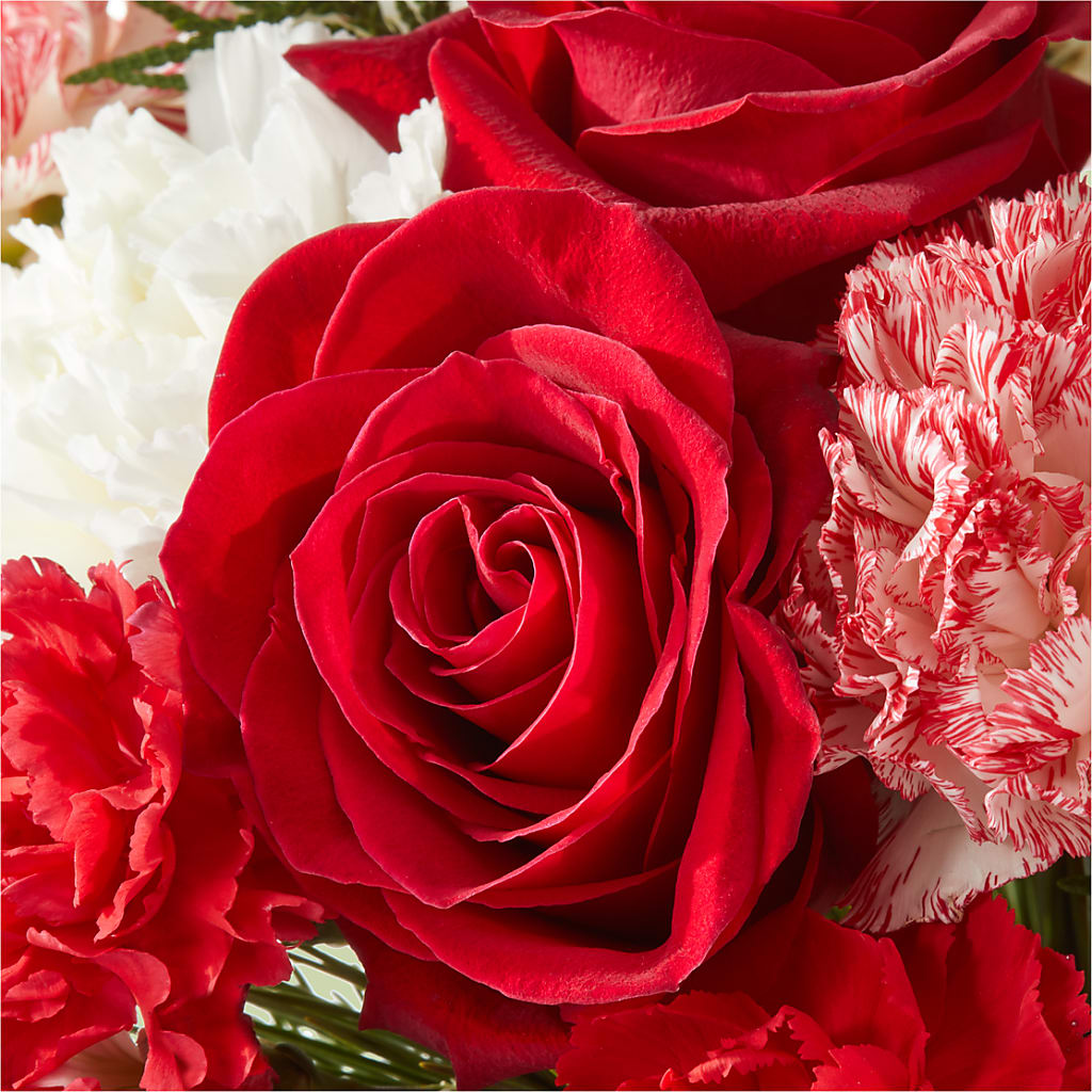 Candy Cane Lane Bouquet –  Backroads Florist, Blairsville GA