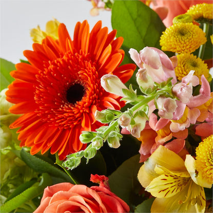 Autumn Sunshine Bouquet –  Backroads Florist, Blairsville GA