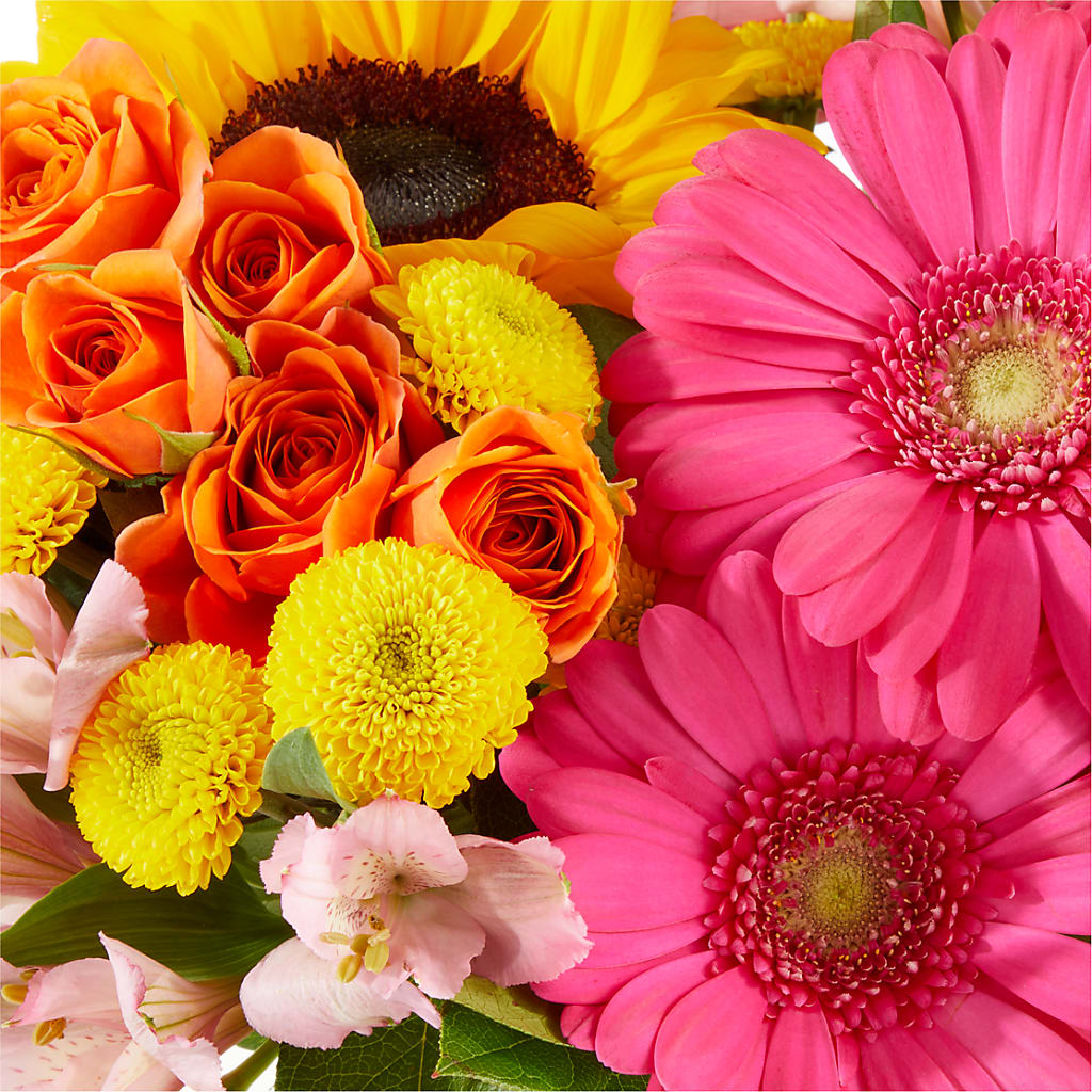 Beach Day Bouquet –  Backroads Florist, Blairsville GA