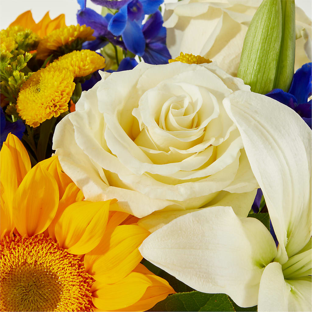 Stargazing Bouquet –  Backroads Florist, Blairsville GA