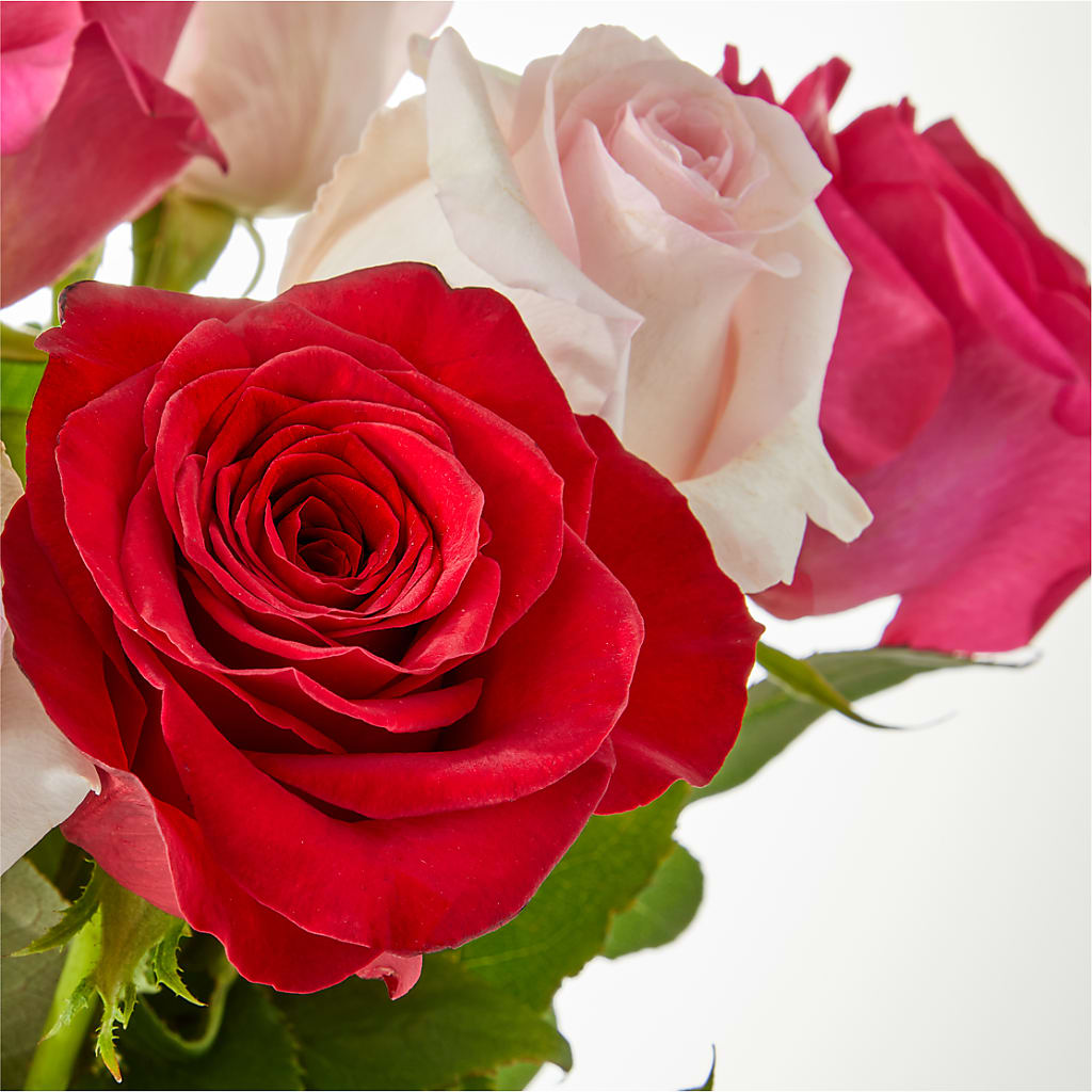 Charming Rose Bouquet –  Backroads Florist, Blairsville GA