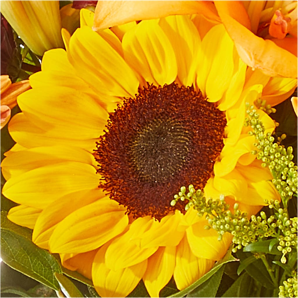 Seasons Change Bouquet –  Backroads Florist, Blairsville GA