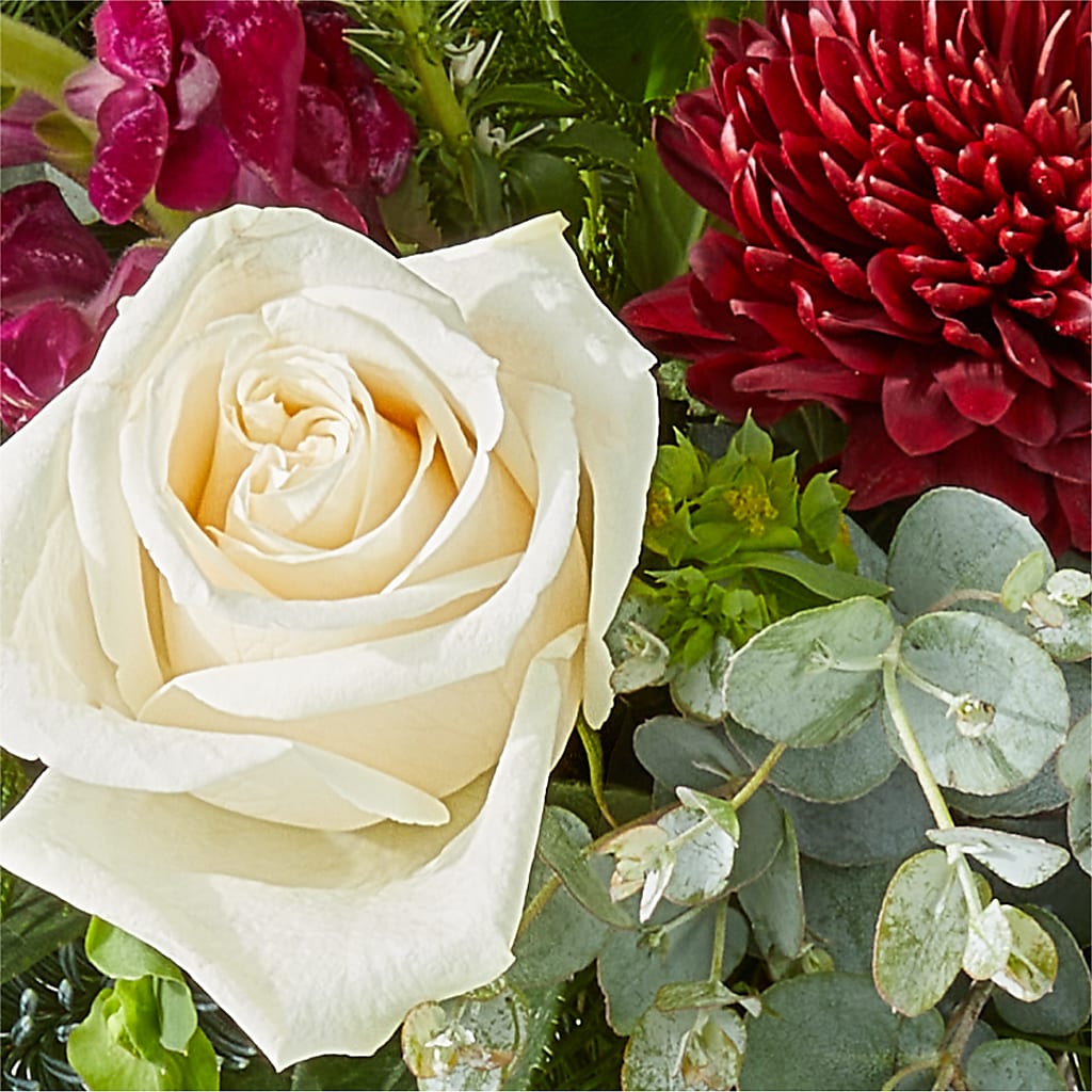 Cranberry Fizz Bouquet –  Backroads Florist, Blairsville GA