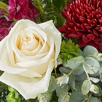 Cranberry Fizz Bouquet –  Backroads Florist, Blairsville GA