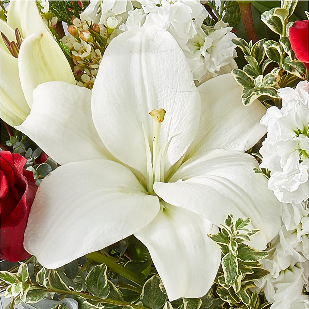 Twinkle Lights Bouquet –  Backroads Florist, Blairsville GA