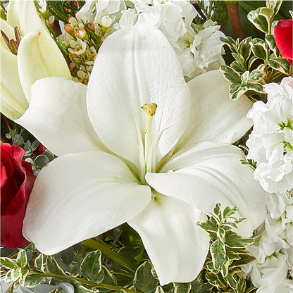 Twinkle Lights Bouquet –  Backroads Florist, Blairsville GA