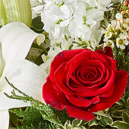 Twinkle Lights Bouquet –  Backroads Florist, Blairsville GA
