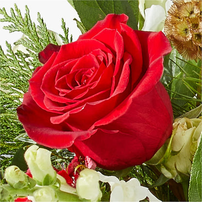 Deck the Halls Bouquet –  Backroads Florist, Blairsville GA