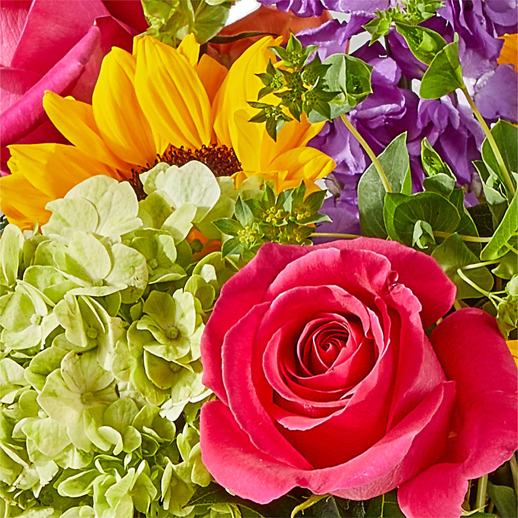 Vibrant Greetings Bouquet –  Backroads Florist, Blairsville GA