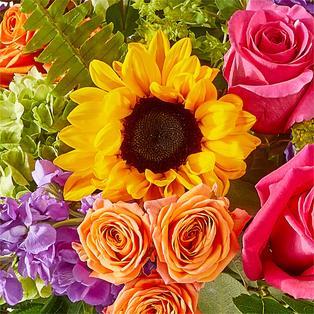 Vibrant Greetings Bouquet –  Backroads Florist, Blairsville GA