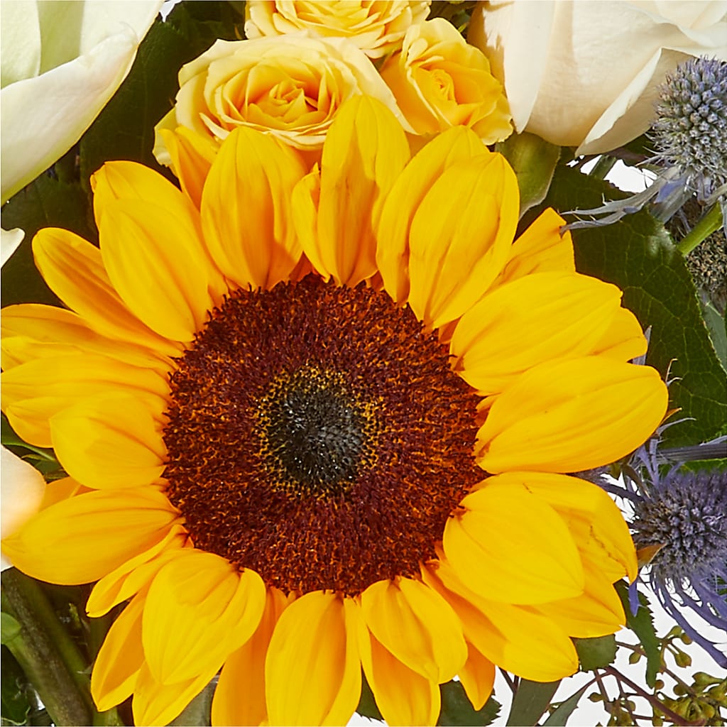 Wonderfully Sunny Bouquet –  Backroads Florist, Blairsville GA