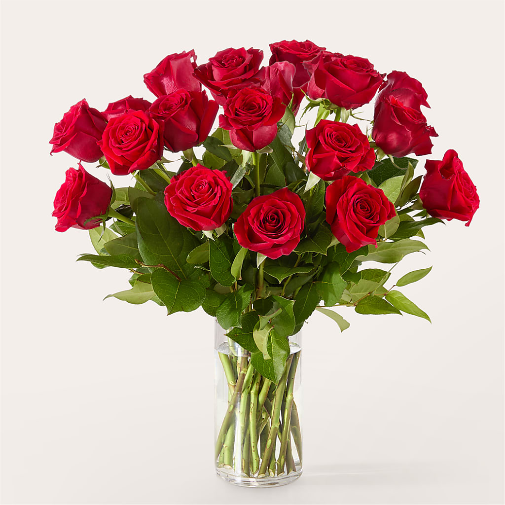 The One Red Rose Bouquet –  Backroads Florist, Blairsville GA