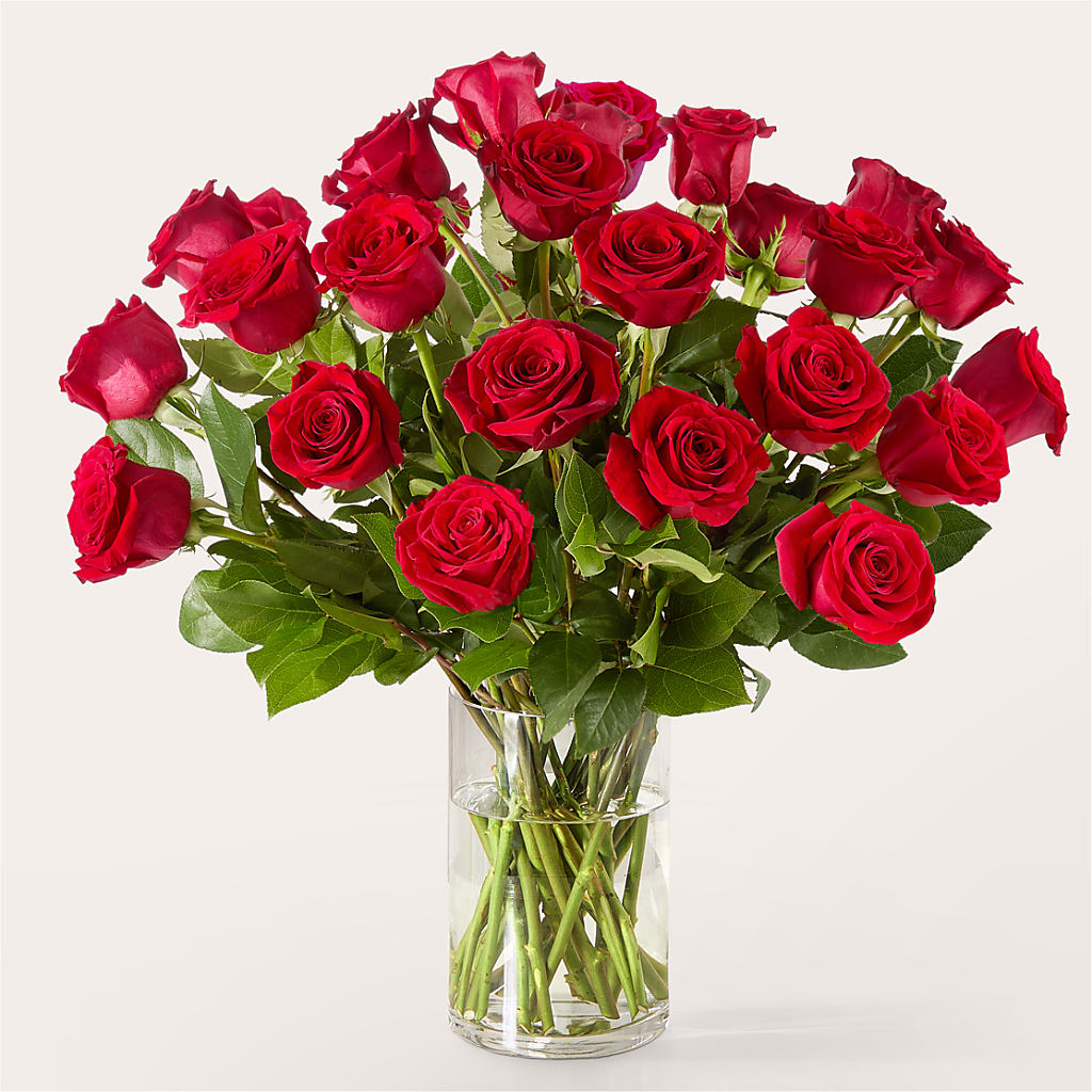 The One Red Rose Bouquet –  Backroads Florist, Blairsville GA