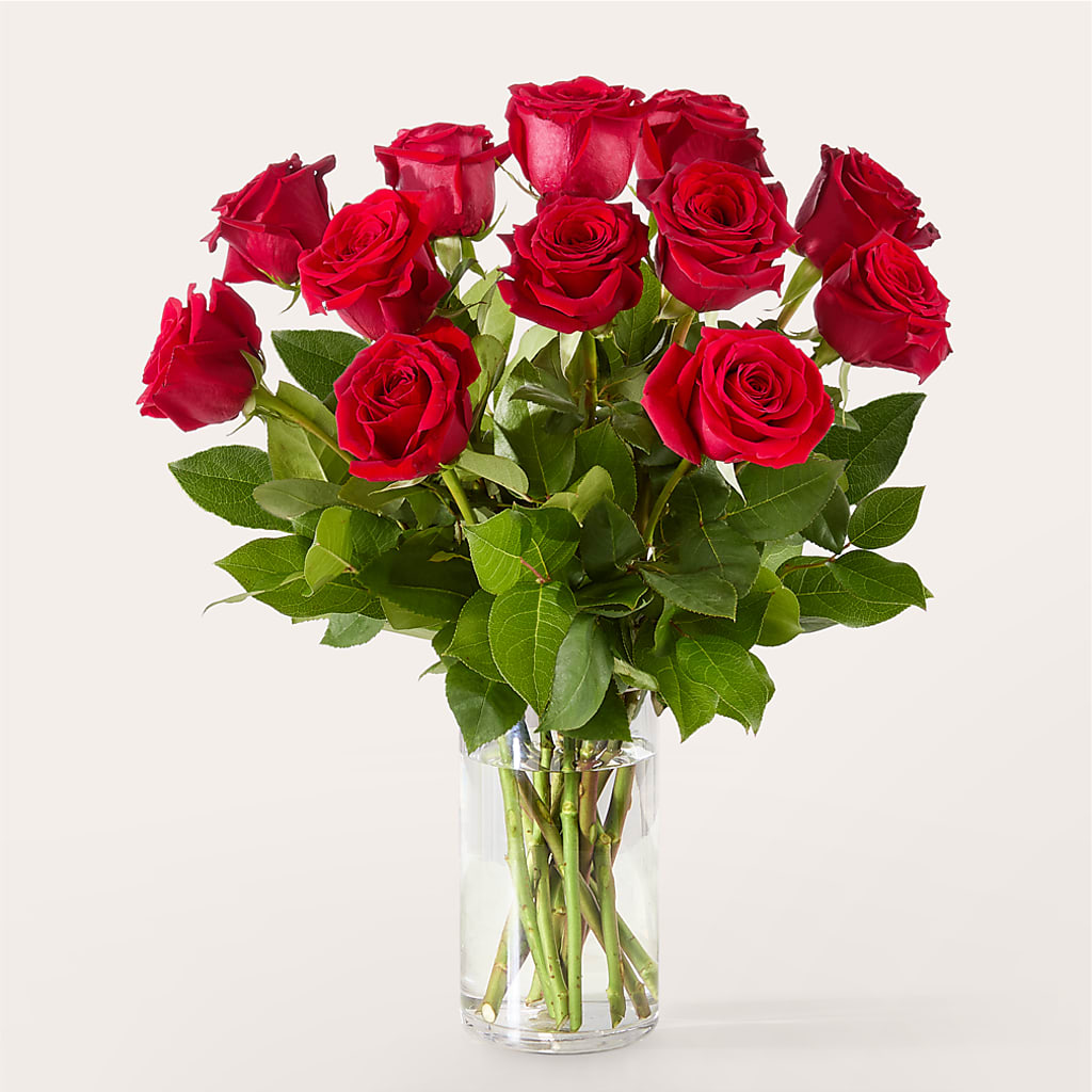 The One Red Rose Bouquet –  Backroads Florist, Blairsville GA