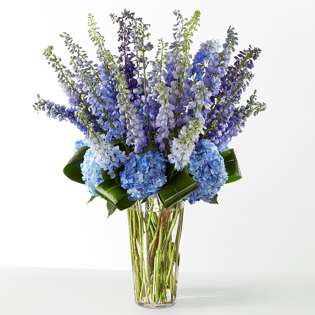 The Editorial –  Backroads Florist, Blairsville GA