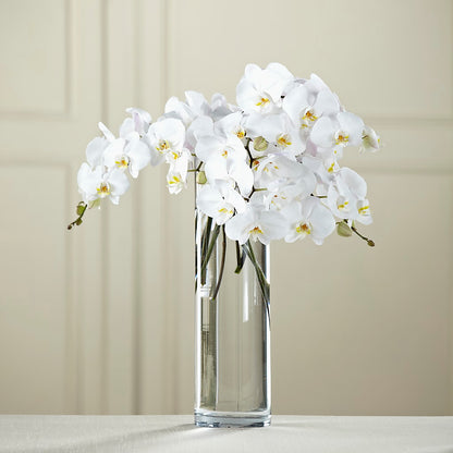 White Phalaenopsis Bouquet –  Backroads Florist, Blairsville GA