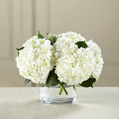 White Hydrangea Bouquet –  Backroads Florist, Blairsville GA